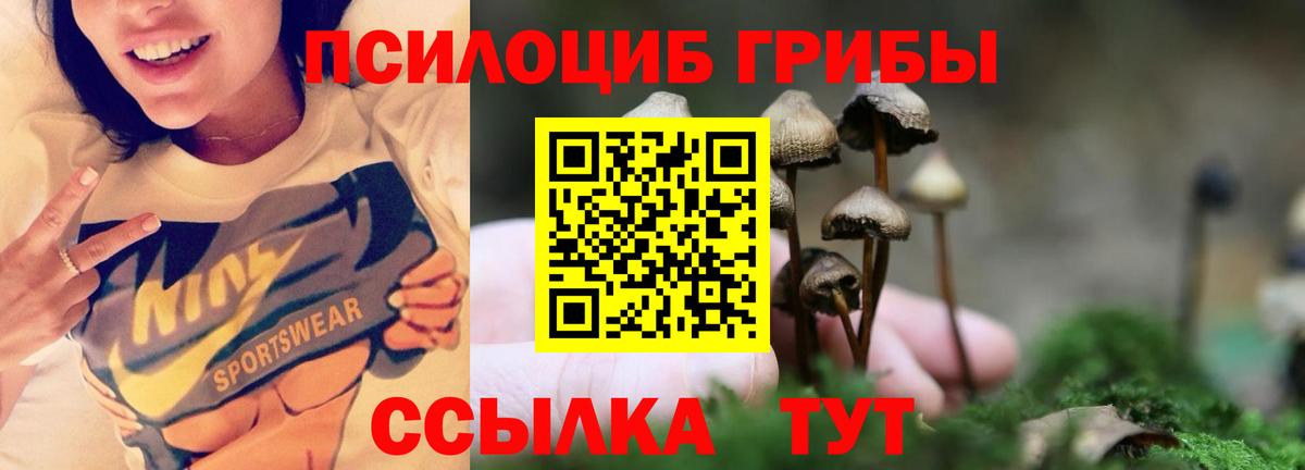 Стрежевой  Галлюциногенные грибы Psilocybine cubensis  Вход с VPN 